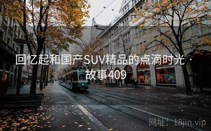 回忆起和国产SUV精品的点滴时光 · 故事409