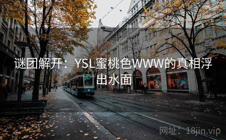 谜团解开：YSL蜜桃色WWW的真相浮出水面